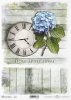 zegar, cyferblat, tarcza zegarowa, Home Sweet Home, deska, deski, kwiat, hortensja, hortensje, tło, R753, clock, clock face, Home Sweet Home, board, flower, hydrangea, background, Uhr, Zifferblatt, Home Sweet Home, Brett, Blume, Hortensie, Hintergrund, re
